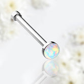 20g White Opal Top Nose Bone Stud. Opal Nose Stud. Nose Pin.